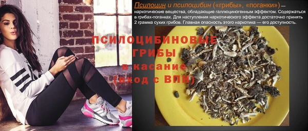 каннабис Корсаков