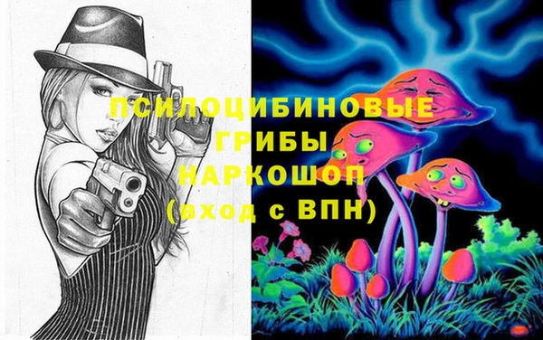 ECSTASY Костерёво