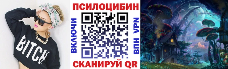 Купить Балабаново Псилоцибиновые грибы Magic Shrooms